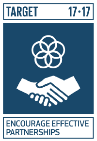 SDG Target 17.17 (icon )