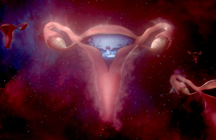 Uterus (photo)
