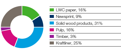 Forest Products &ndash; SCA&rsquo;s sales by product segment (pie chart)