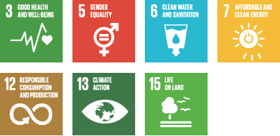 Macro-economic drivers &ndash; SDGs (icons)