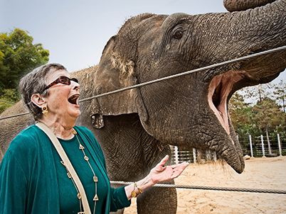 SCA in society &ndash; Woman laughing side by side with elephant (photo)